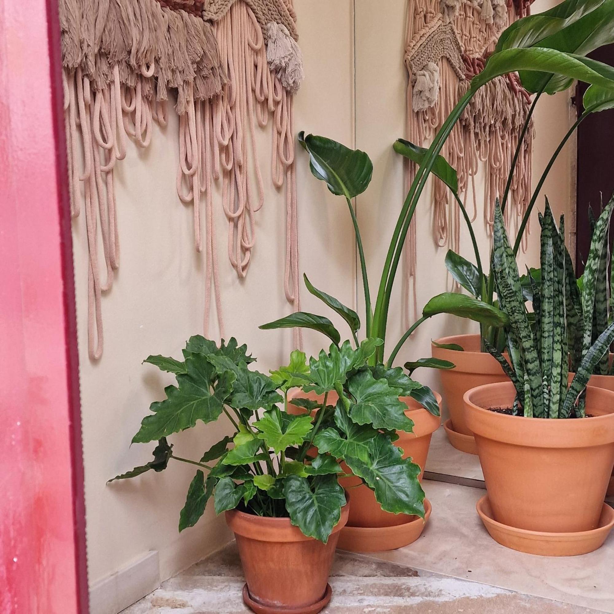 Casas De Constancia Villa Ngoại thất bức ảnh
